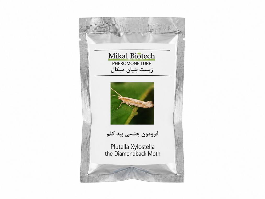 تصویر محصول فرومون جنسی پروانه بید کلم (پشت الماسی)